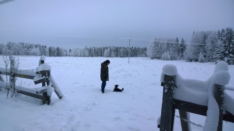 WP_20141230_12_47_03_Pro